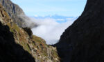 Blick zu den Berner Alpen