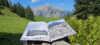 Buch