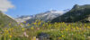 NP Hohe Tauern 1